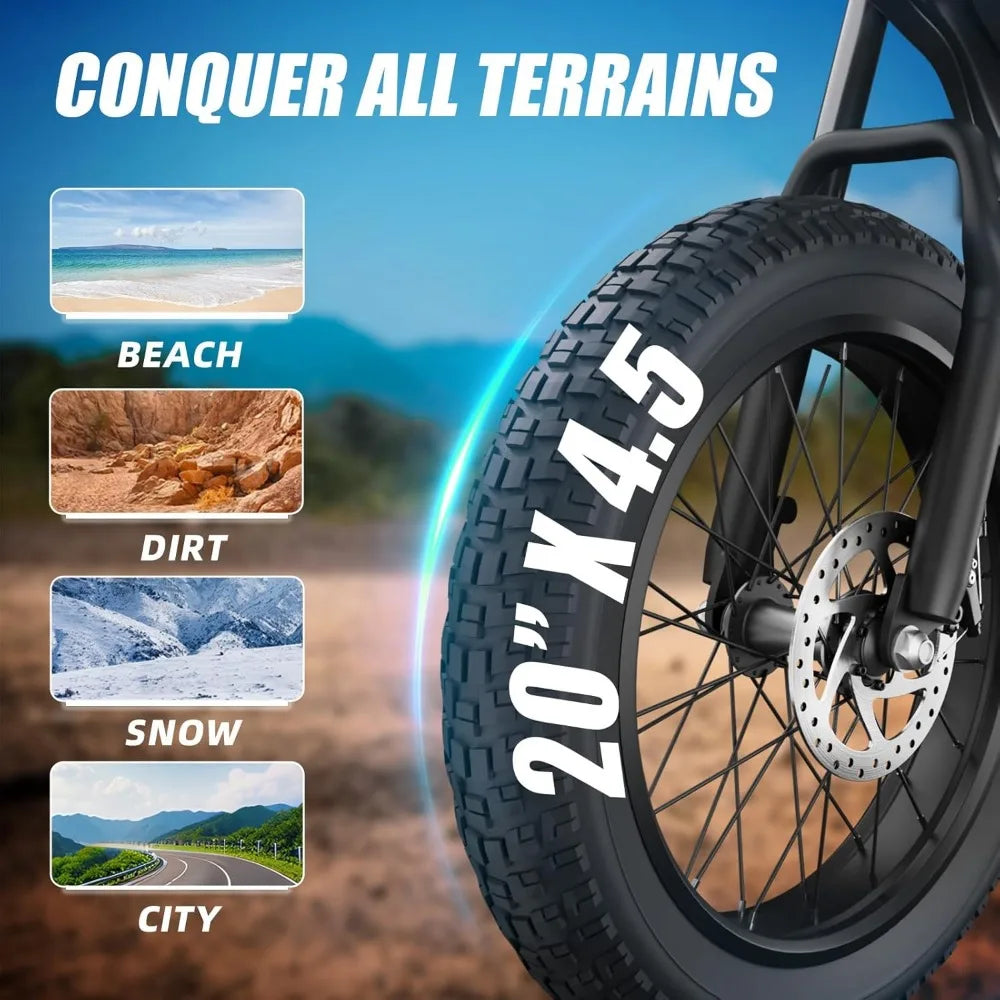 Electric Bike 20" Fat Tire, Peak 1200W Motor, 48V 15A/22.5A Battery, 7-Speed, Dual Disc Brakes for Off-Road and City Riding