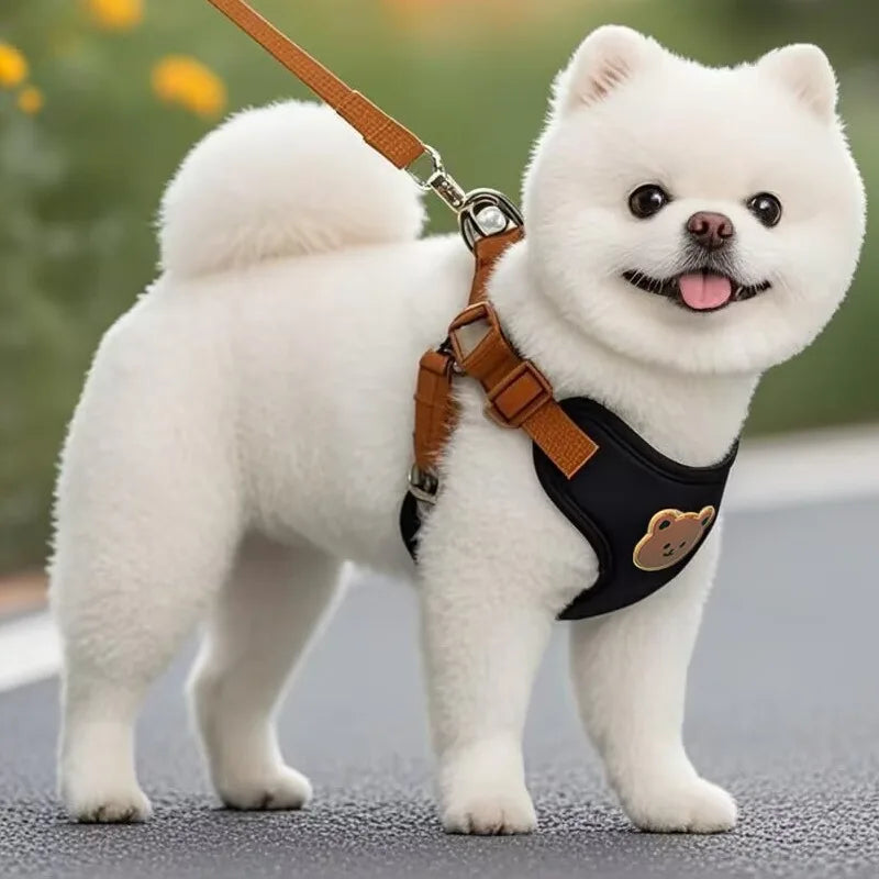 Pet Dog Harness Lead Leash Set Small Medium Dog Vest Harness Puppy Cat Chest Strap French Bulldog Chihuahua Harness Pet Supplies