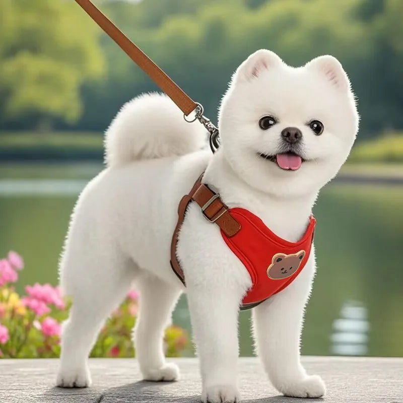 Pet Dog Harness Lead Leash Set Small Medium Dog Vest Harness Puppy Cat Chest Strap French Bulldog Chihuahua Harness Pet Supplies