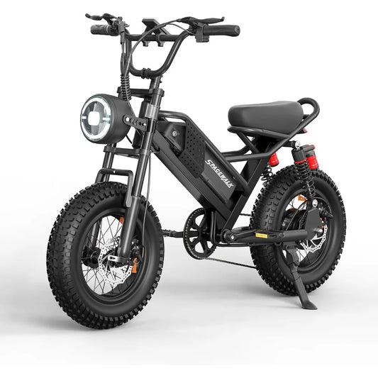 Electric Bike,16"/20" Fat Tire Ebike,Suitable for Riders under 5'2"or 5'5"&Above,750W Motor,48V 15Ah Removable Battery