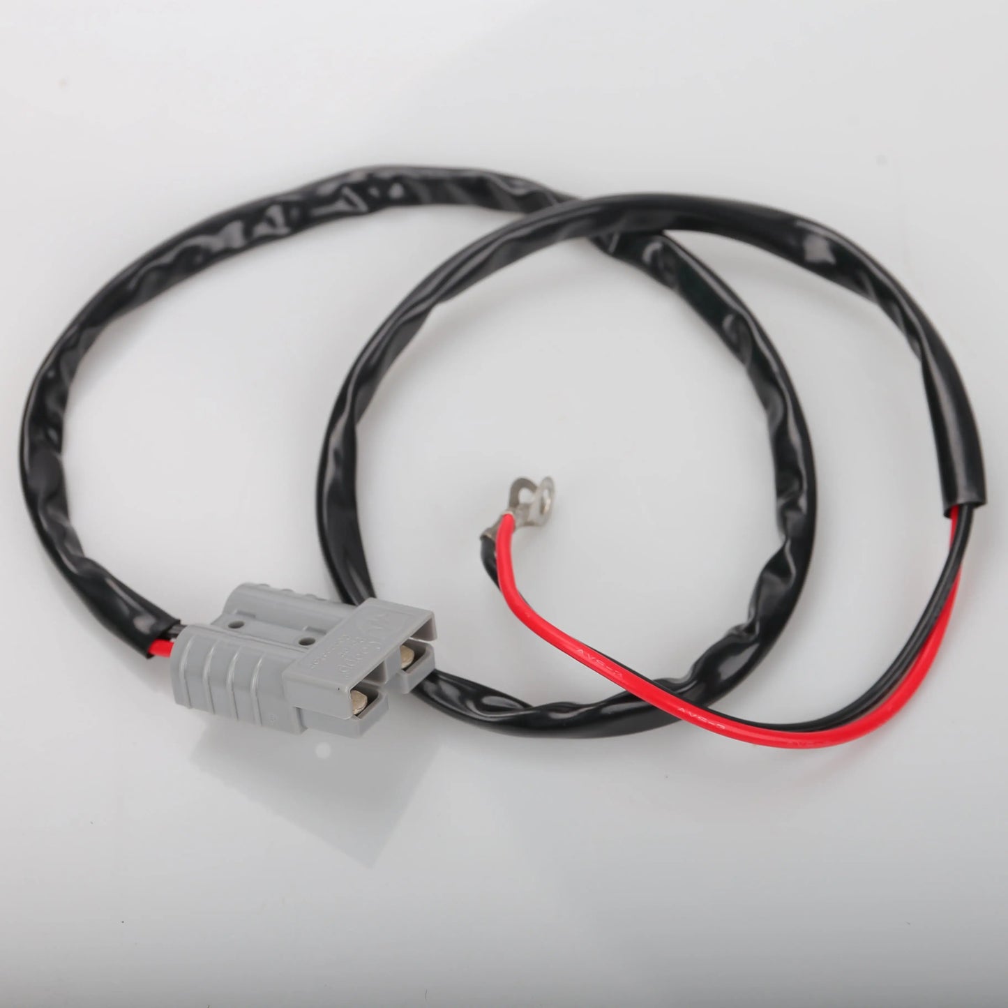 12V 200W 2.5L Electric Air Fryer For Camping Travel oil free cooking in Truck