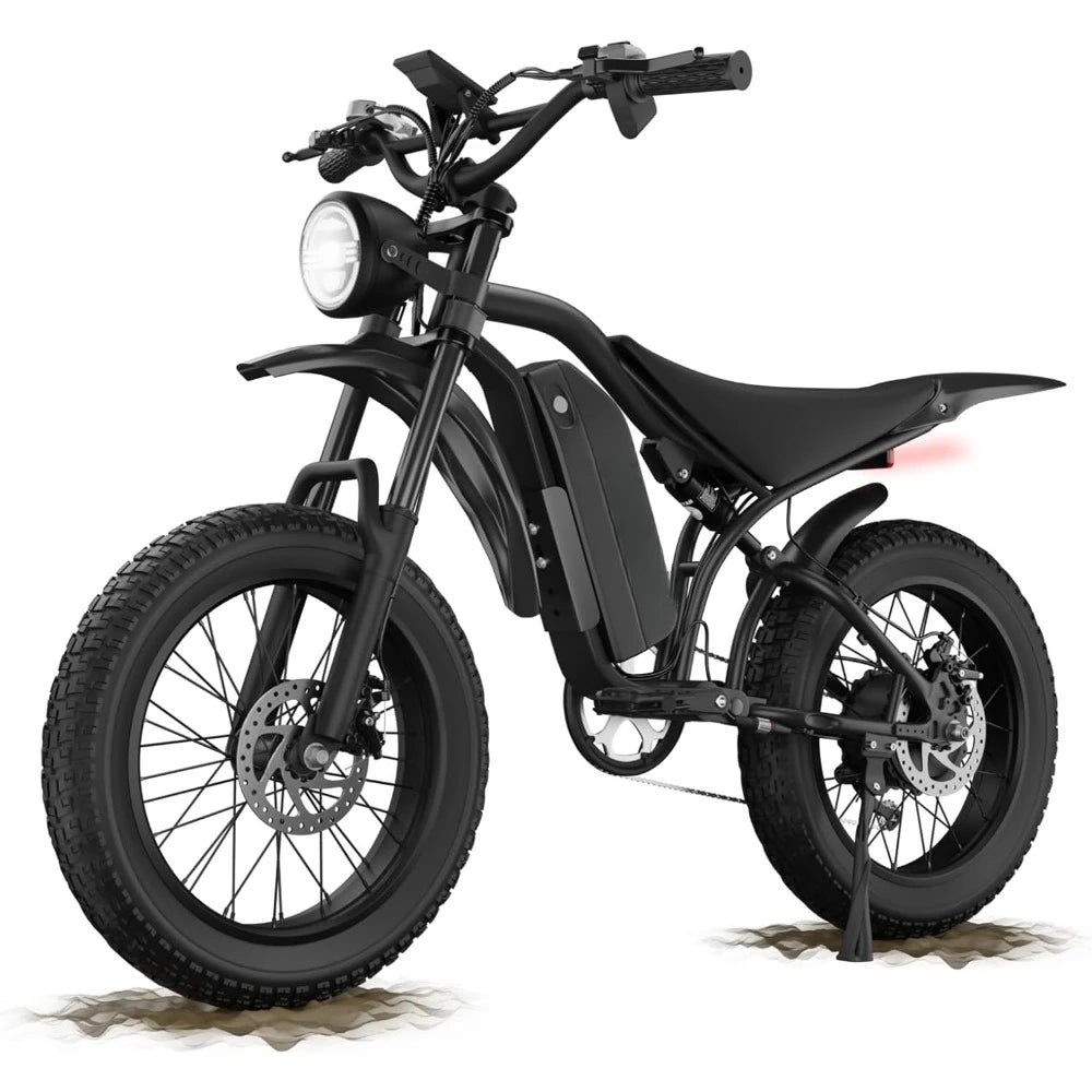Electric Bike 20" Fat Tire, Peak 1200W Motor, 48V 15A/22.5A Battery, 7-Speed, Dual Disc Brakes for Off-Road and City Riding