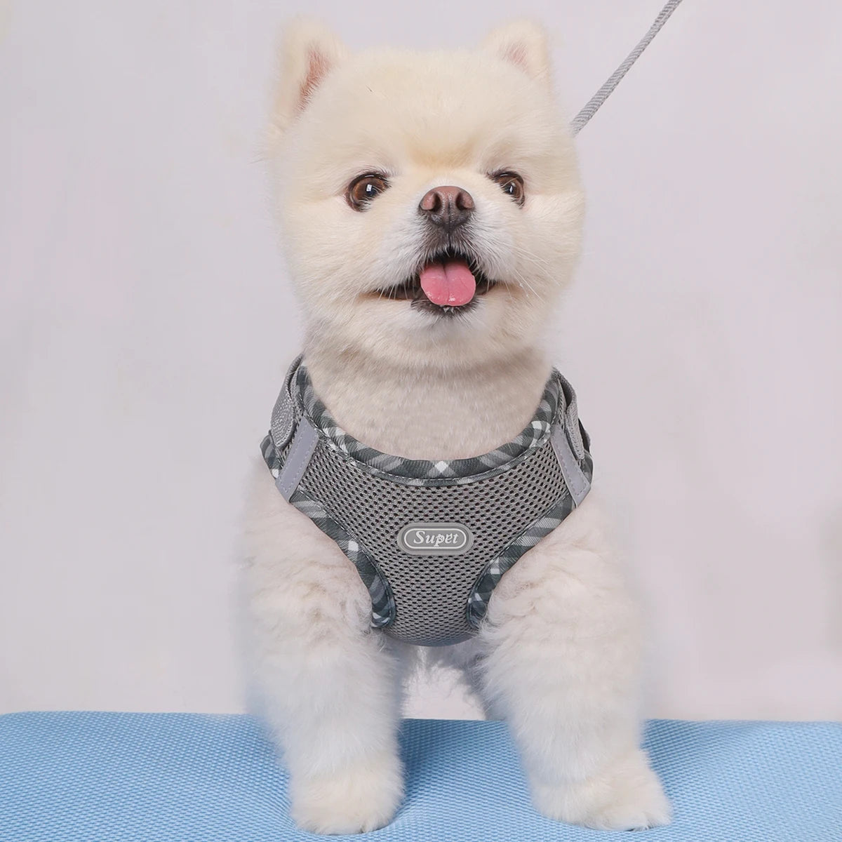 1pc Dog Harness, Anti-Pull, Pet Harness, Adjustable, Easy to Control, Suitable for Small, Medium Dogs
