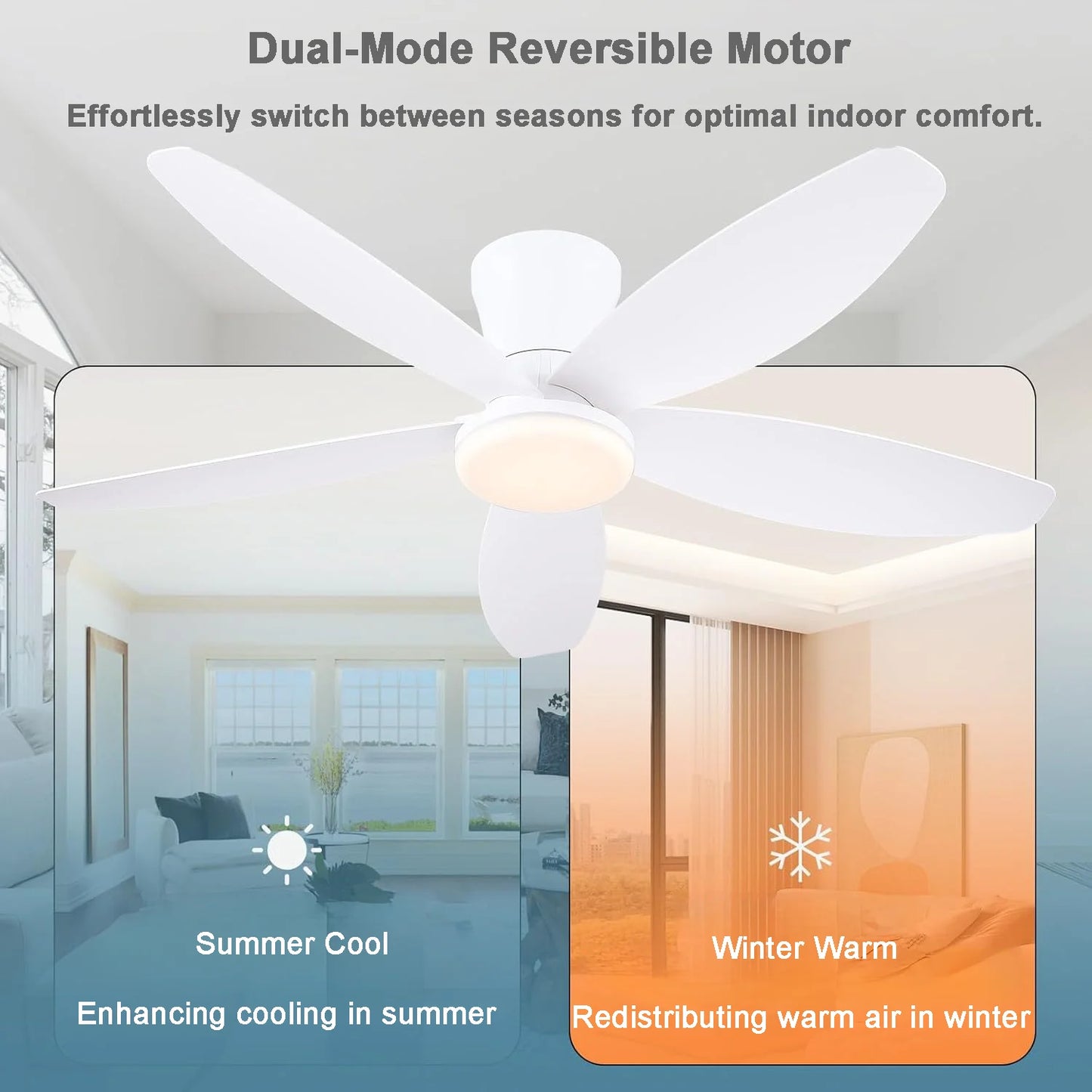 Ceiling Fans with Lights, Low Profile Ceiling Fan Light, Reversible, Dimmable, Noiseless, Ceiling Fan lamp for Indoor